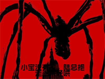 （热推新书）《小宝没有家，陆总抱走温柔轻哄》全文免费阅读最新章节大结局-陆景淮苏瑾时无弹窗阅读