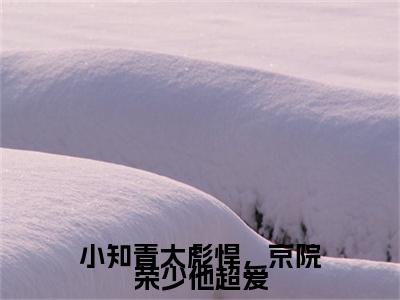宁媛荣昭南大结局免费阅读 小知青太彪悍,京院荣少他超爱最新热点小说