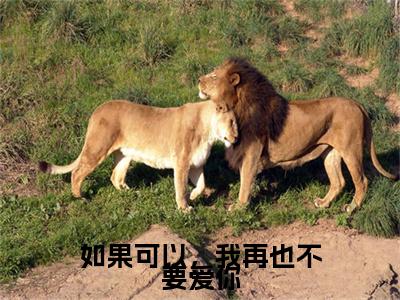 如果可以，我再也不要爱你免费阅读 秦嘉玉夏卫庭最新章节目录