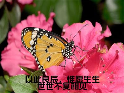 墨白渊柳姒月小说（以此良辰，惟愿生生世世不复相见已完结小说全集完整版大结局）以此良辰，惟愿生生世世不复相见小说全文阅读笔趣阁