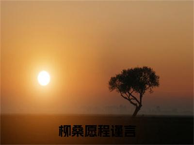 柳桑愿程谨言全文免费阅读_（柳桑愿程谨言免费阅读无弹窗）柳桑愿程谨言最新章节列表笔趣阁（柳桑愿程谨言）