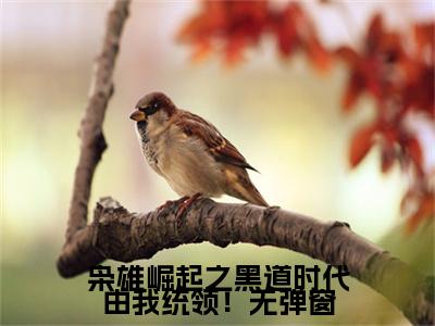 枭雄崛起之黑道时代由我统领！( 雷震赵红旗)全文免费阅读无弹窗大结局_( 雷震赵红旗免费阅读全文大结局)最新章节列表_笔趣阁（枭雄崛起之黑道时代由我统领！）
