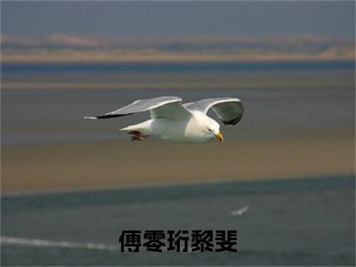 傅零珩黎斐（傅零珩黎斐小说）小说免费最新章节列表_傅零珩黎斐笔趣阁（傅零珩黎斐小说）