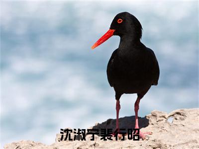 裴行昭沈淑宁小说全文免费阅读-沈淑宁裴行昭在线阅读的小说完整版