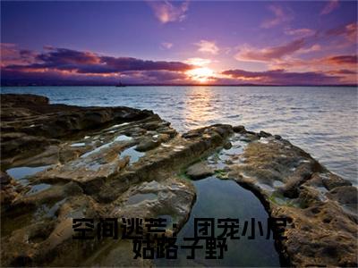 花小念小说全文免费阅读_空间逃荒：团宠小尼姑路子野（花小念）最新章节列表笔趣阁