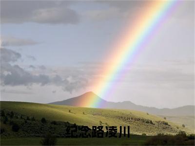 纪念路凌川纪念路凌川小说（纪念路凌川）全文在线阅读无弹窗大结局纪念路凌川