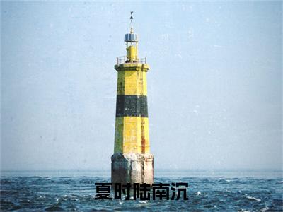 夏时陆南沉全文免费阅读-全网首发小说夏时陆南沉