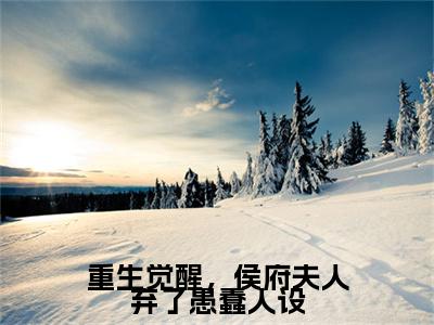 重生觉醒，侯府夫人弃了愚蠢人设小说（孟卿晚陆少言）全文免费阅读无弹窗大结局_重生觉醒，侯府夫人弃了愚蠢人设小说免费阅读_笔趣阁（孟卿晚陆少言小说）