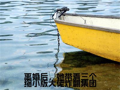 洛熙冷清寒（离婚后，她带着三个缩小版大佬炸翻集团）全文免费阅读无弹窗大结局_（离婚后，她带着三个缩小版大佬炸翻集团无弹窗）最新章节免费阅读_笔趣阁（洛熙冷清寒）