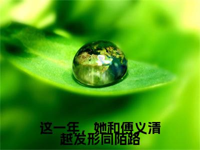 小说这一年，她和傅义清越发形同陌路无弹窗免费阅读-新上热文小说（沈晓溪傅义清）讲的是什么