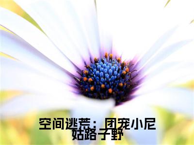 空间逃荒：团宠小尼姑路子野（花小念）全文免费阅读无弹窗大结局_空间逃荒：团宠小尼姑路子野全文免费阅读_笔趣阁