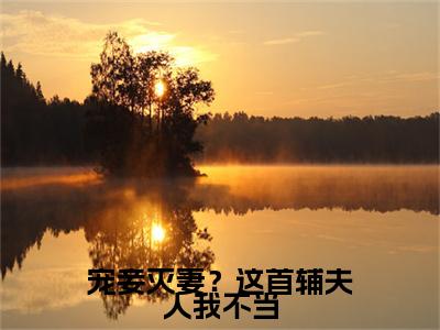 苏青玉云奕霄（苏青玉云奕霄）全文免费阅读无弹窗_宠妾灭妻？这首辅夫人我不当全文免费阅读最新章节大结局_