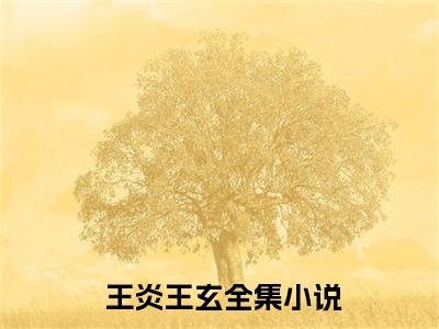 穿越玄幻世界：黑袍老祖成传说（ 王炎王玄）全文免费阅读_穿越玄幻世界：黑袍老祖成传说最新章节列表言情小说在线阅读