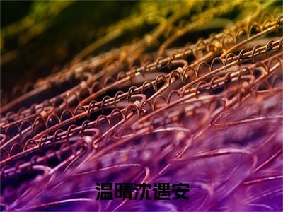 温晴沈遇安在线阅读(温晴沈遇安小说)全文免费阅读无弹窗大结局_温晴沈遇安免费最新章节列表_笔趣阁(温晴沈遇安小说)
