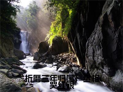 司徒鸢裴寂（折磨三年归国，丞相哭红眼）小说好看吗-司徒鸢裴寂最后结局如何（折磨三年归国，丞相哭红眼）小说无弹窗免费阅读