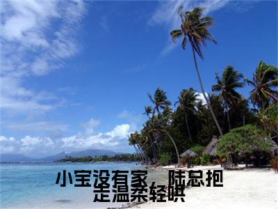 （陆景淮苏瑾时）小宝没有家，陆总抱走温柔轻哄小说免费阅读-小说推荐小宝没有家，陆总抱走温柔轻哄精彩章节在线阅读