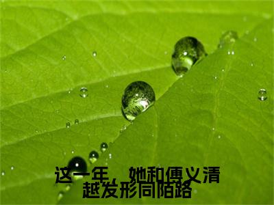 这一年，她和傅义清越发形同陌路（沈晓溪傅义清）全文免费阅读无弹窗大结局_这一年，她和傅义清越发形同陌路_笔趣阁