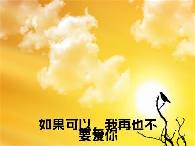 如果可以，我再也不要爱你小说精彩章节今日阅读更新-（秦嘉玉夏卫庭小说）免费阅读小说全文