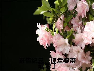报告纪总，你老婆带球跑了美文欣赏完整版，纪君陶裴音精彩章节在线阅读