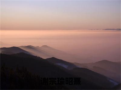 谢宗瑜昭熹全文免费阅读_(昭熹谢宗瑜免费阅读无弹窗)昭熹谢宗瑜最新章节列表笔趣阁(谢宗瑜昭熹)