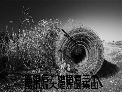 洛熙冷清寒(离婚后，她带着三个缩小版大佬炸翻集团)全文在线阅读无弹窗大结局_离婚后，她带着三个缩小版大佬炸翻集团全文无弹窗最新章节列表_笔趣阁