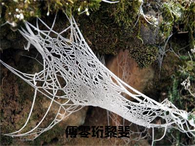傅零珩黎斐（傅零珩黎斐）全文完整版免费阅读-主角叫傅零珩黎斐的小说傅零珩黎斐