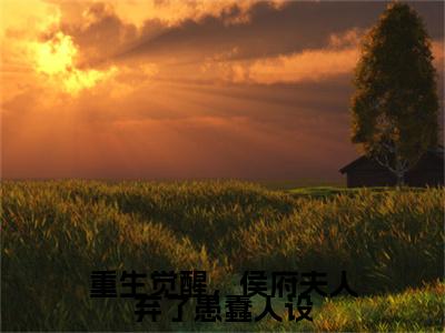重生觉醒，侯府夫人弃了愚蠢人设（孟卿晚陆少言）完整版小说阅读_-重生觉醒，侯府夫人弃了愚蠢人设最新章节列表（孟卿晚陆少言）