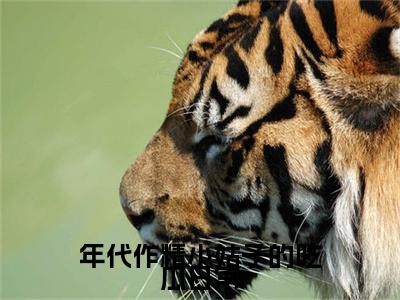 华湘云抖音新书热荐 -年代作精小姑子的吃瓜日常全文在线赏析(华湘云)