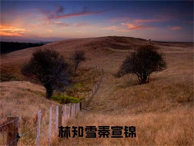 林知雪秦宣锦小说全文-秦宣锦林知雪无弹窗免费阅读
