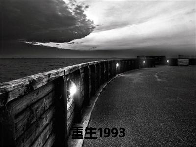 重生1993，暗海（ 安小海林漩儿）全文免费阅读_重生1993，暗海最新章节小说免费阅读_笔趣阁