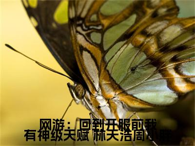 网游：回到开服前我有神级天赋( 林天浩周小胖)全文免费阅读无弹窗大结局_网游：回到开服前我有神级天赋免费阅读无弹窗最新章节列表_笔趣阁( 林天浩周小胖)
