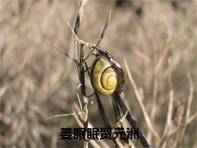 姜眠眠贺元洲小说（贺元洲姜眠眠)全文免费阅读无弹窗大结局_姜眠眠贺元洲完整版最新阅读_笔趣阁（贺元洲姜眠眠）