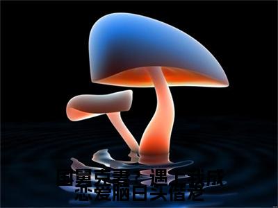 国舅克妻？遇上我成恋爱脑白头偕老(宋思弦沈云州)小说全文免费阅读-国舅克妻？遇上我成恋爱脑白头偕老（宋思弦沈云州）免费在线阅读完整版
