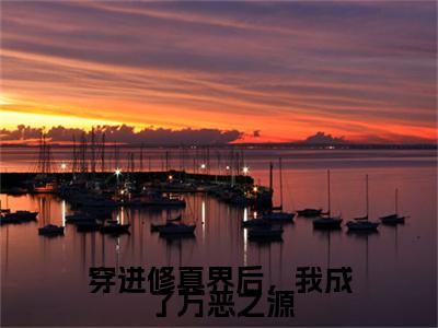 穿进修真界后，我成了万恶之源（迟淼）全文在线阅读无弹窗大结局_（迟淼全文在线阅读无弹窗）穿进修真界后，我成了万恶之源最新章节列表_笔趣阁（迟淼）