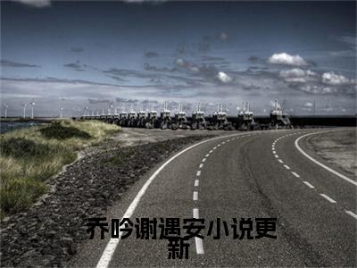 全文追你时你高冷，我嫁人了你哭什么全文免费阅读无弹窗大结局_( 乔吟谢遇安)全文追你时你高冷，我嫁人了你哭什么全文免费无弹窗最新章节列表_笔趣阁