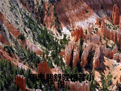 唐崇裴舒晚小说我的老婆，当着我的面奔赴情人全文免费阅读无弹窗-正版小说 唐崇裴舒晚全文阅读