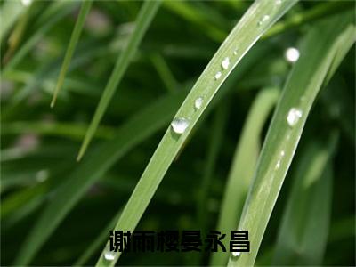 晏永昌谢雨樱小说谢雨樱晏永昌在哪里可以看-主角是晏永昌谢雨樱的小说谢雨樱晏永昌