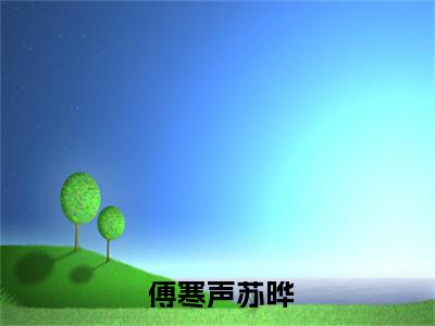 傅少，亲够了吗？阅读无弹窗大结局_ 傅寒声苏晔穿越小说免费阅读_笔趣阁