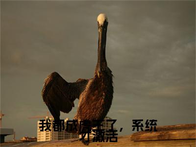 我都成虎王了，系统才激活(主角是江风全文免费阅读无弹窗)_我都成虎王了，系统才激活全文免费阅读无弹窗大结局