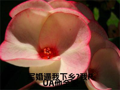 军婚逼我下乡?我PUA他全家（ 方盈林鸣）快手热推小说主角军婚逼我下乡?我PUA他全家完整版在线阅读