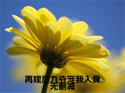 再嫁后九爷宠我入骨 安南笙穆伏城小说全文免费阅读无弹窗大结局_( 安南笙穆伏城)再嫁后九爷宠我入骨最新章节列表笔趣阁（再嫁后九爷宠我入骨）