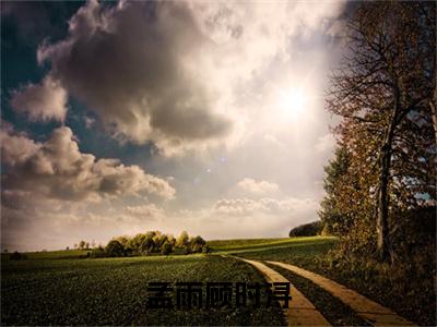 孟雨顾时浔（顾时浔孟雨）全文免费阅读无弹窗-顾时浔孟雨小说完整版在线阅读