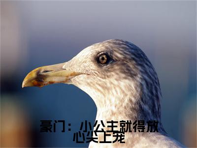  安檀容宴西的小说（豪门：小公主就得放心尖上宠）免费阅读_ 安檀容宴西小说免费阅读-笔趣阁（豪门：小公主就得放心尖上宠）