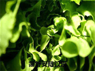 简舒安陆以琛全文免费阅读大结局-简舒安陆以琛最新章节免费阅读大结局