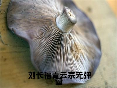 小说（青云宗刘长福小说） 刘长福青云宗全文阅读-精彩美文青云宗刘长福小说免费阅读