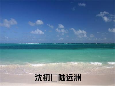 沈初婳陆远洲最新章节,沈初婳陆远洲今日热议小说完本阅读