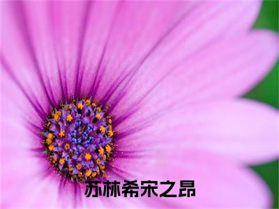 宋之昂苏林希（苏林希宋之昂）小说免费阅读_宋之昂苏林希精选小说全文阅读（苏林希宋之昂）