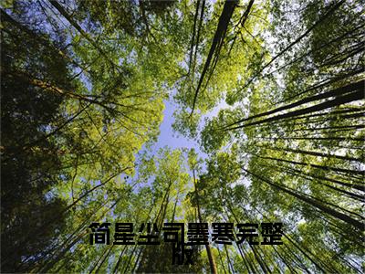 重生后，夫人自爆马甲要护夫小说最新试读_( 简星尘司墨寒免费阅读最新章节列表)_笔趣阁