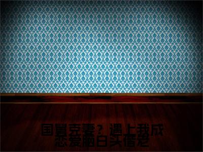【新书】国舅克妻？遇上我成恋爱脑白头偕老全文全章节免费阅读-宋思弦沈云州 全文免费阅读无弹窗大结局