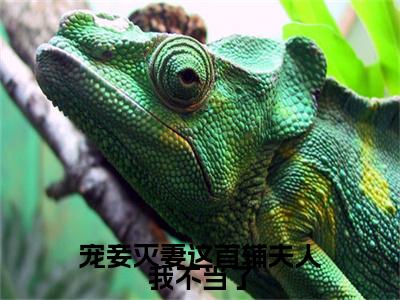 宠妾灭妻这首辅夫人我不当了(夏瑶云奕霄)小说免费阅读在线阅读_宠妾灭妻这首辅夫人我不当了全文免费阅读_笔趣阁